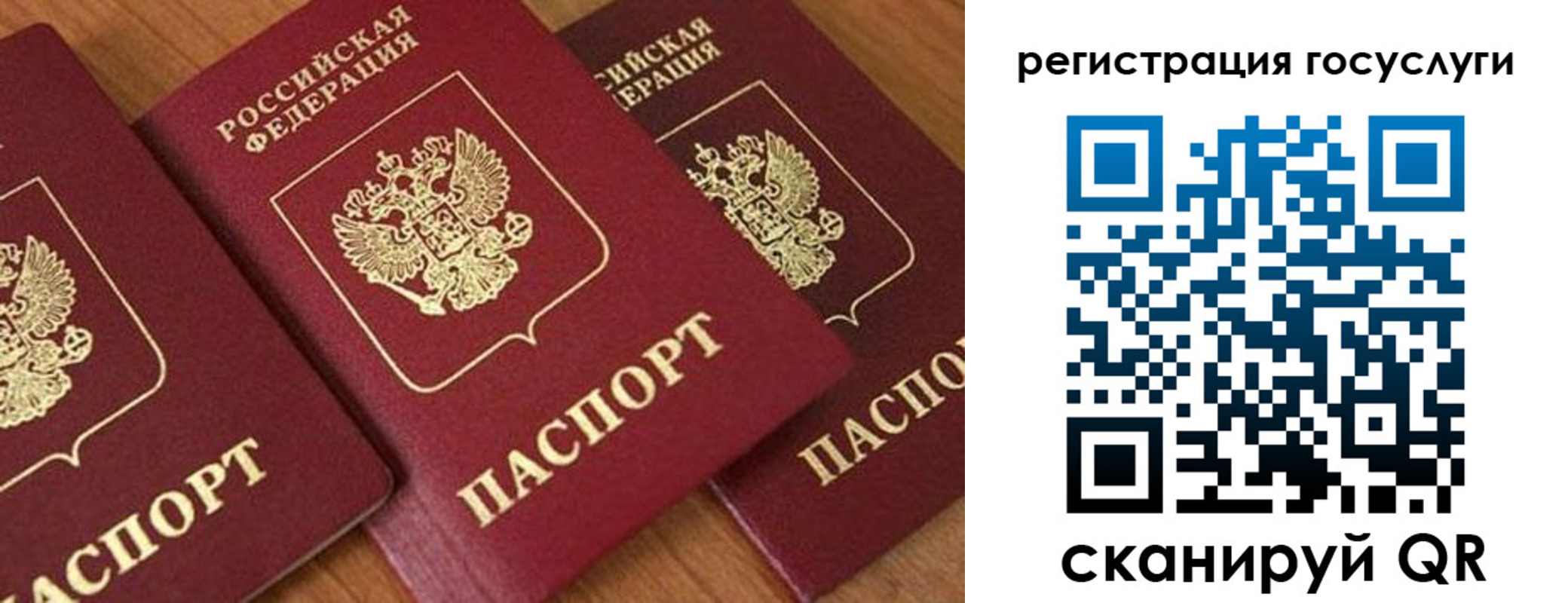 временная регистрация гарантия в Ульяновске